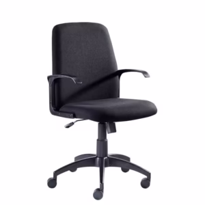 Peza Medium Back – Office Chair
