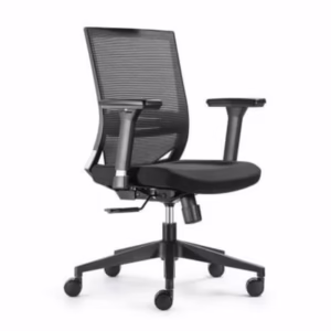 Ergonomic Move Mid Back Mesh Chair