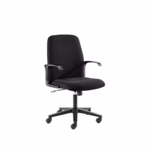 Peza Premium Arm Chair