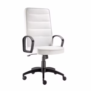 Mode Leather High Back Office Chair