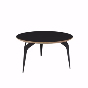 Shell Round Coffee Table