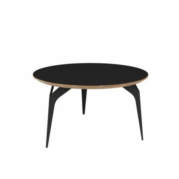 Shell coffee table 700d BL