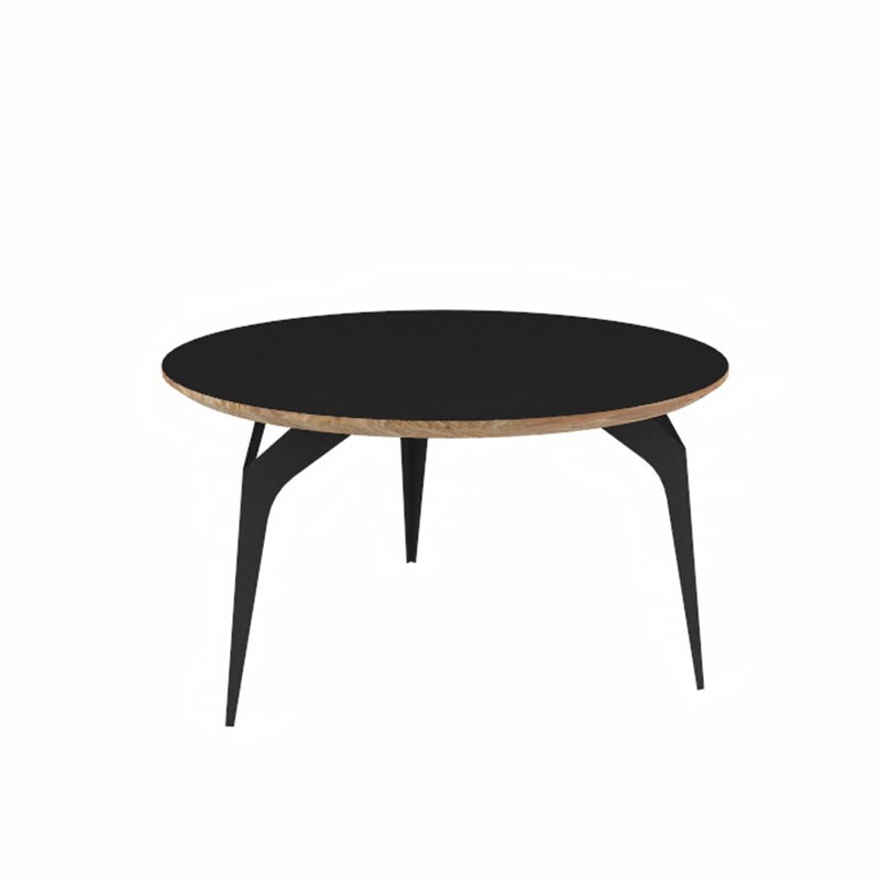 Shell Round Coffee Table