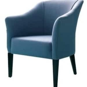 Petite Occasional Chair
