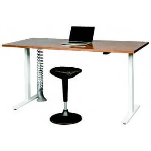 Take a Stand Desk Twin Electric 1