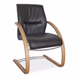 Salvador Wooden Visitor Chair