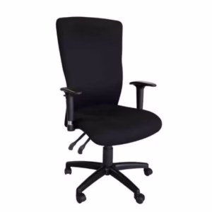 Spine Ergonomic Chiar