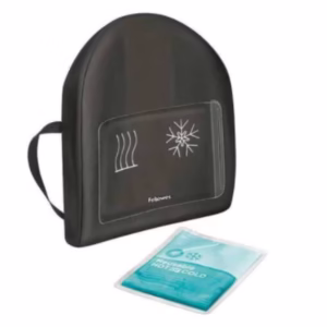 Professional Series Heat and Soothe Back Support