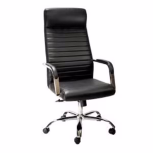 Canasta Leather Executive Office Chair
