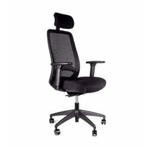 Plush Ergonomic Chiars