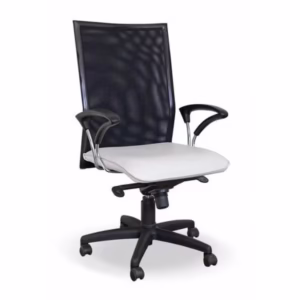 Trinidad Mesh Mid-Back Chair