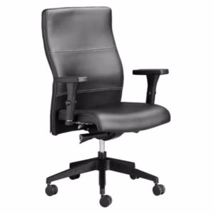 Genesis Medium Back Leather