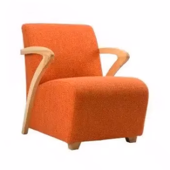 Occasional Oxygen Wooden Chair