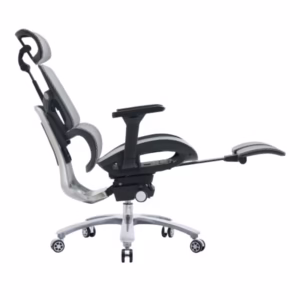 Felix King Ergonomic Recliner Chair