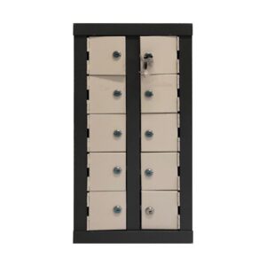 10-Compartment Cellphone Locker – Secure Lockaway Storage