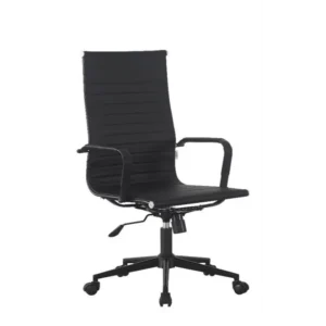 Classic Eames Midnight Black Frame