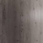 Anthracite Mountain Larch