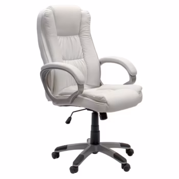 Stallion Operators Chair Side