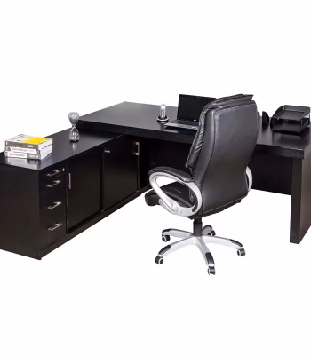 ceo executive desk back